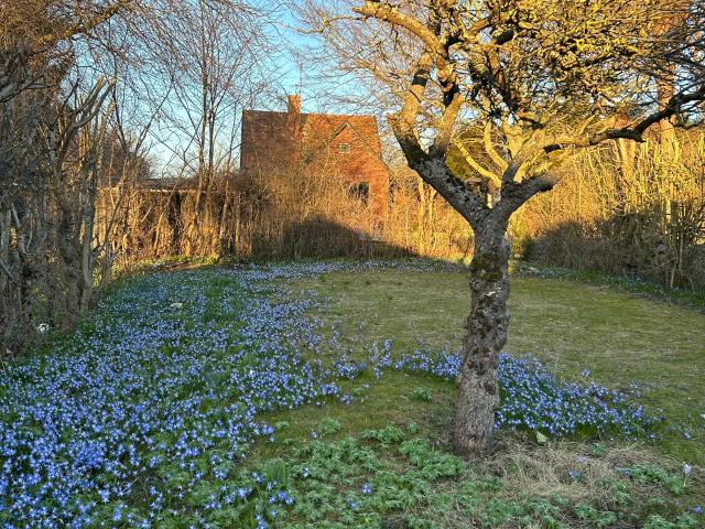 Hus hyra i Vellinge, Skåne