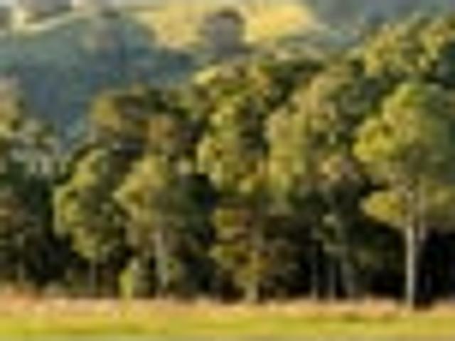 House for sale in Wellington