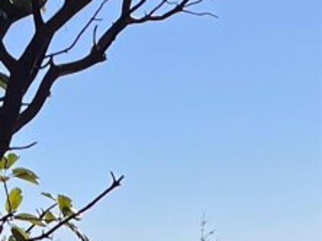 Land for sale in Humboldt, California