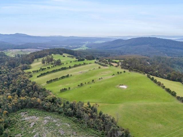 Cottage for sale in Flowery Gully, West Tamar