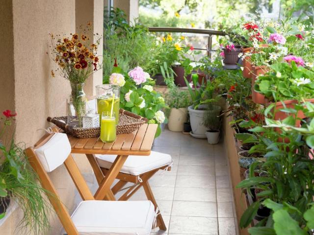 Appartement vente à Toulouse