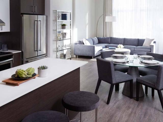 Apartment for rent in Côte-Saint-Luc, Montréal (région administrative)