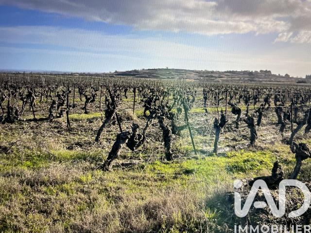 Terrain vente à Béziers, Tourbes
