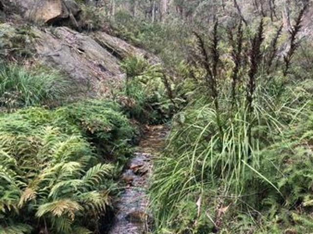 Cottage for sale in Lithgow, New South Wales