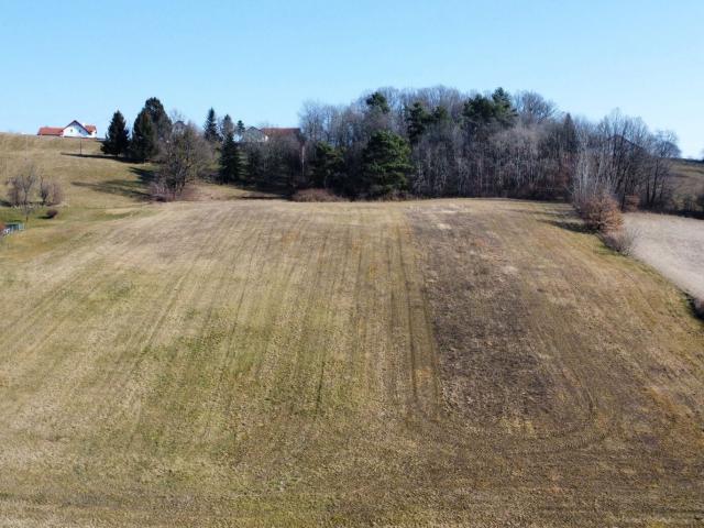 Grundstück kaufen in Burgenland