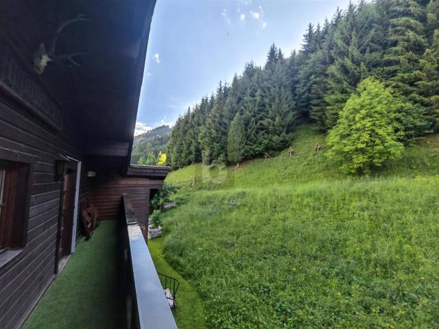 Apartment kaufen in Dienten, Salzburg