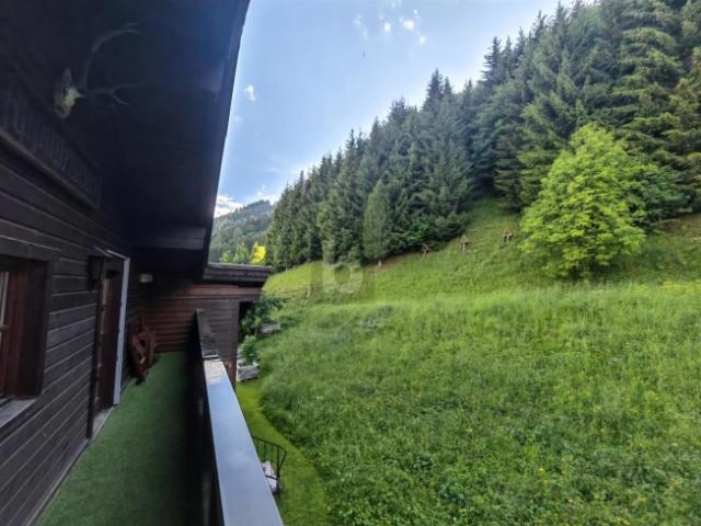 Wohnung kaufen in Dienten, Salzburg
