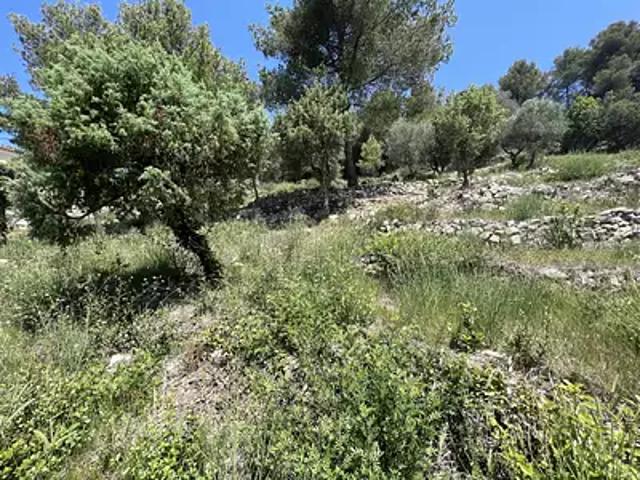 Terrain vente à Nice, Tourrette-levens