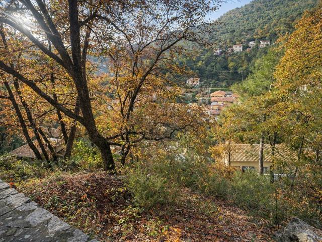 Terrain vente à Nice, Tourrette-levens