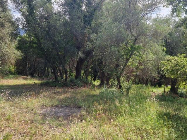 Terrain vente à France métropolitaine, Tourrette-levens