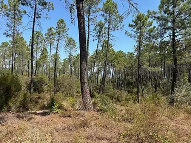 Terrain vente à Arrondissement de Draguignan, Tourrettes