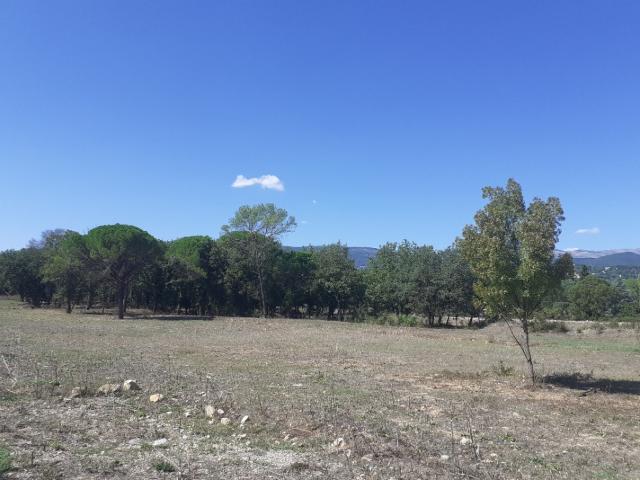 Maison vente à Tourrettes, Var