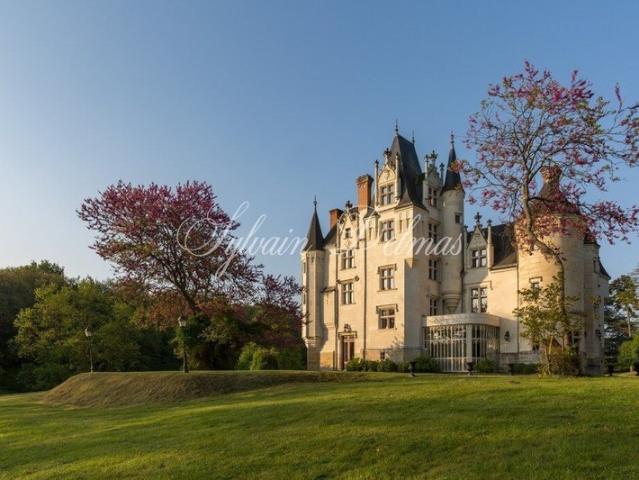 Château vente à Tours