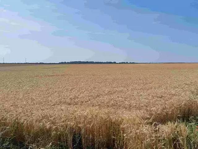 Terrain vente à Nantes, Touvois