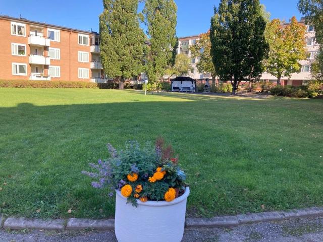 Lägenhet hyra i Uppsala