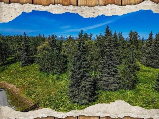 Land for sale in Ninilchik