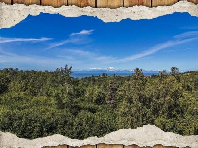 Land for sale in Ninilchik