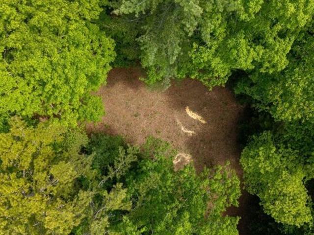 Land for sale in Reliance, Tennessee