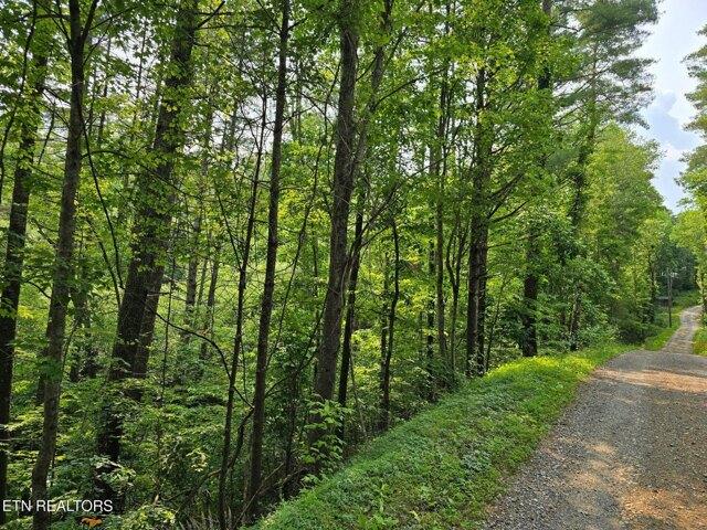 Land for sale in Reliance