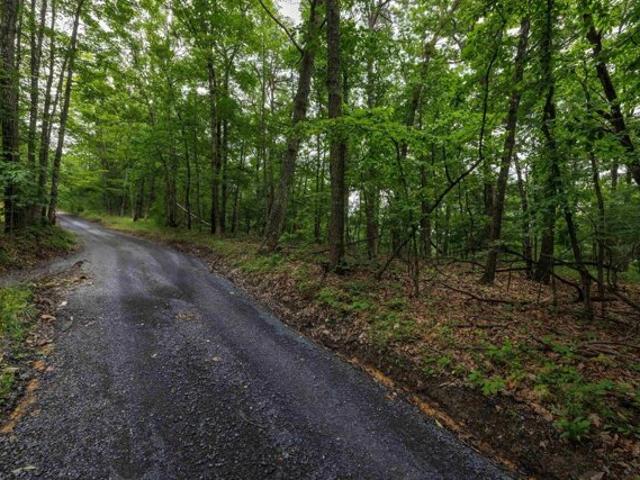Land for sale in Mount Jackson