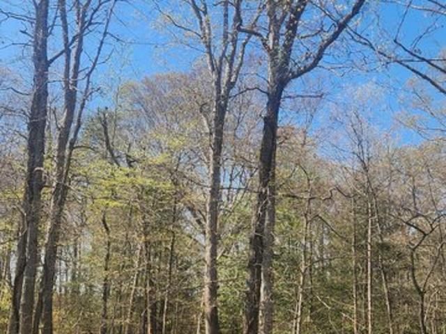 Land for sale in Brandywine, Maryland