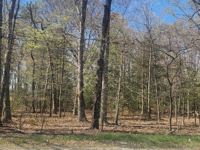 Land for sale in Brandywine, Maryland