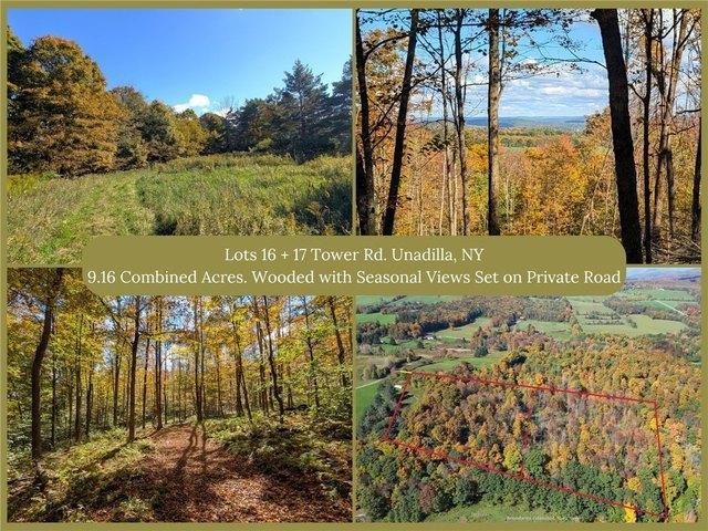 Land for sale in Village of Unadilla, Town of Unadilla