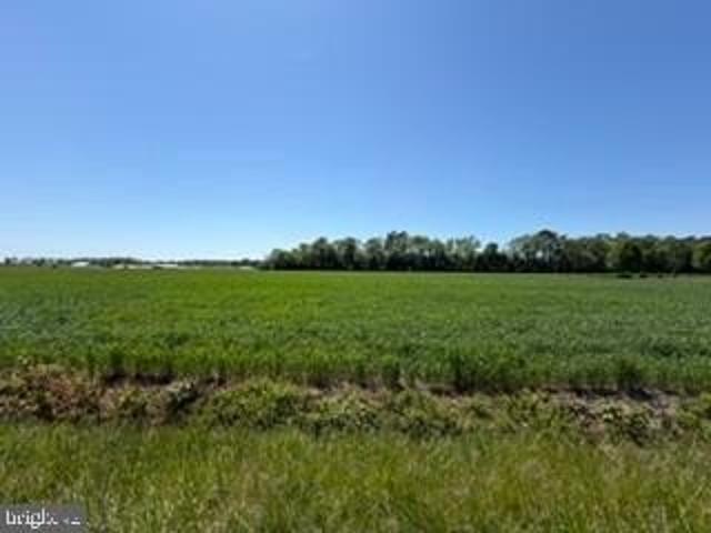 Land for sale in Delaware