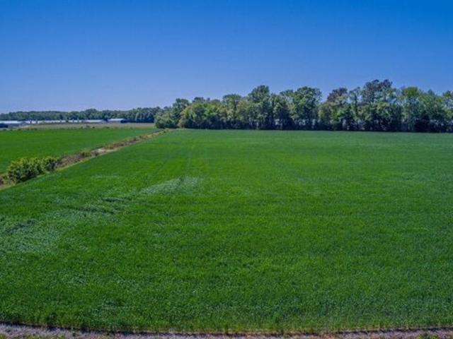 Land for sale in Delaware