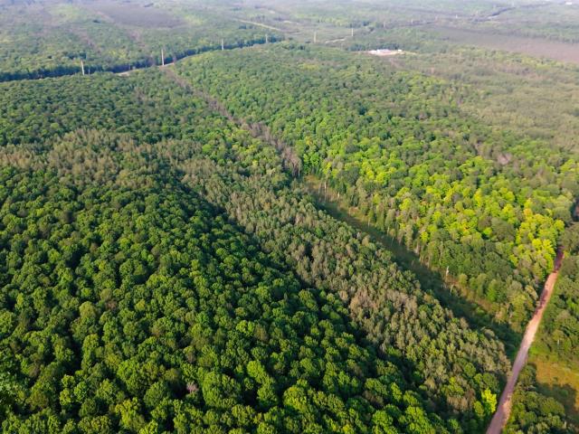 Land for sale in Wisconsin