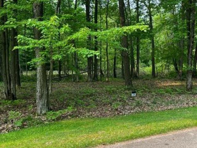 Land for sale in Port Austin, Michigan