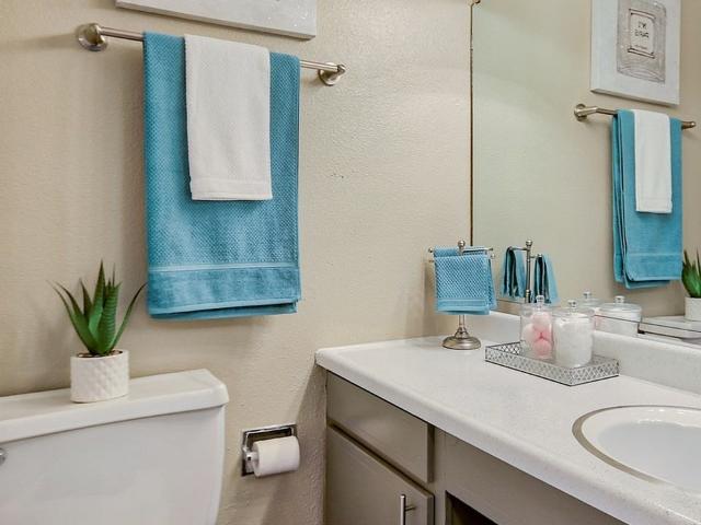Apartment for rent in Columbia, South Carolina
