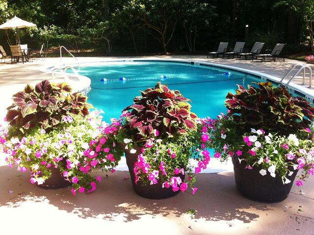 Apartment for rent in Columbia, South Carolina