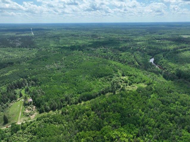 Land for sale in Littlefork, Minnesota