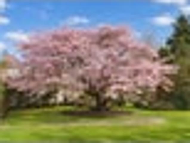 House for sale in Oxford, Canterbury