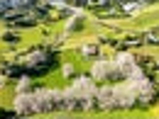 House for sale in Hillsborough, Taranaki