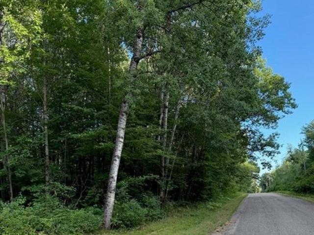 Land for sale in Amberg, Wisconsin