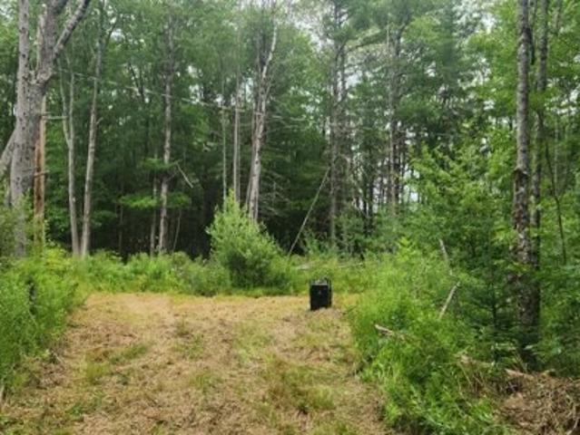 Land for sale in Greenbush, Maine