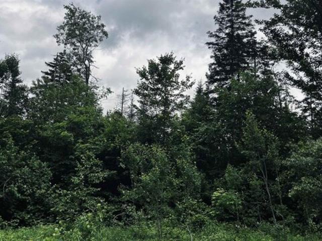 Land for sale in Sheffield, Caledonia County