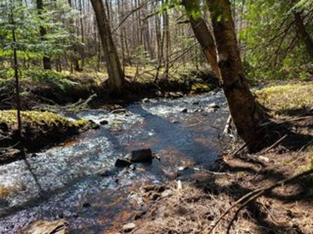 Land for sale in Skandia, Michigan