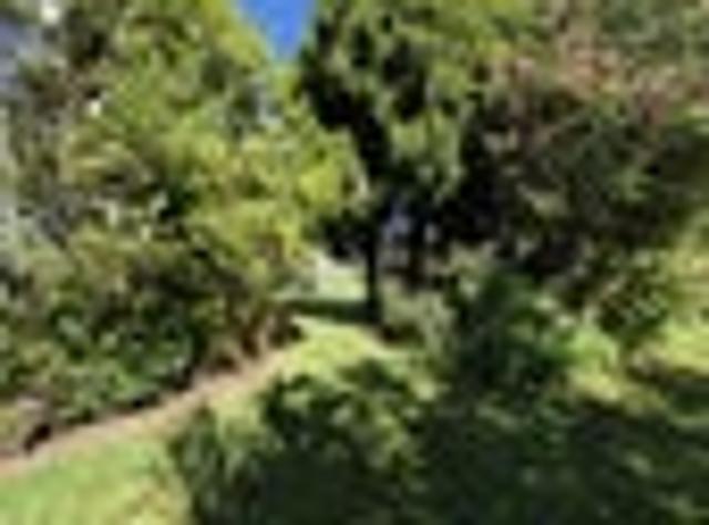 Land for sale in Coromandel, Thames-Coromandel District