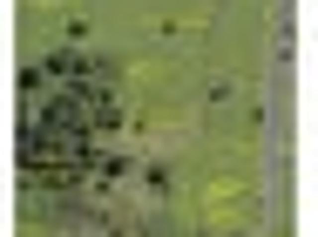 Land for sale in Ohaeawai, Northland