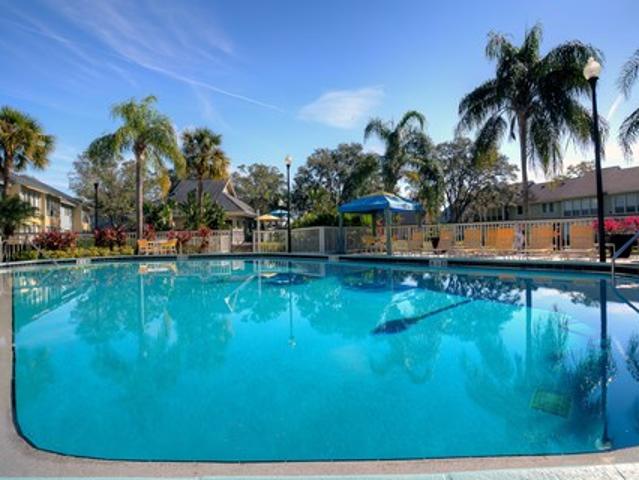 Apartment for rent in Clearwater