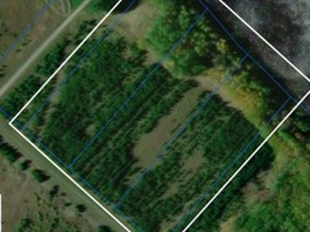 Land for sale in Baudette, Minnesota