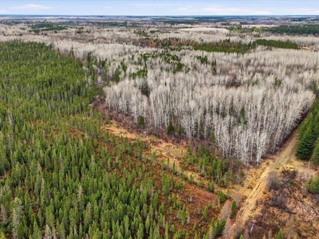 Land for sale in Big Falls, Minnesota
