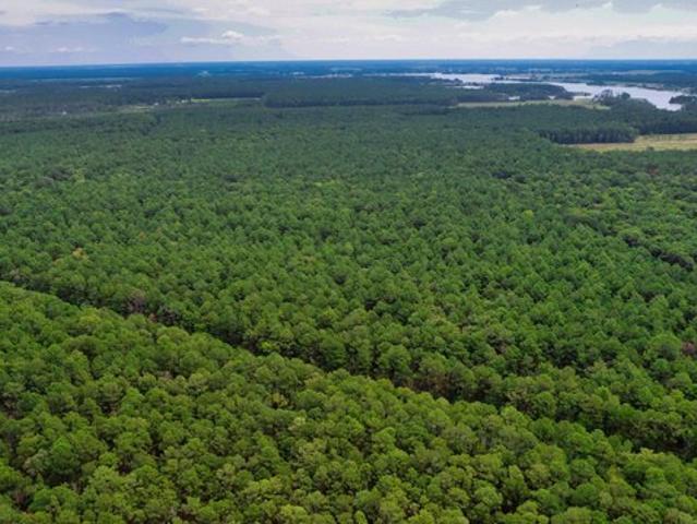 Land for sale in Dorchester, Maryland