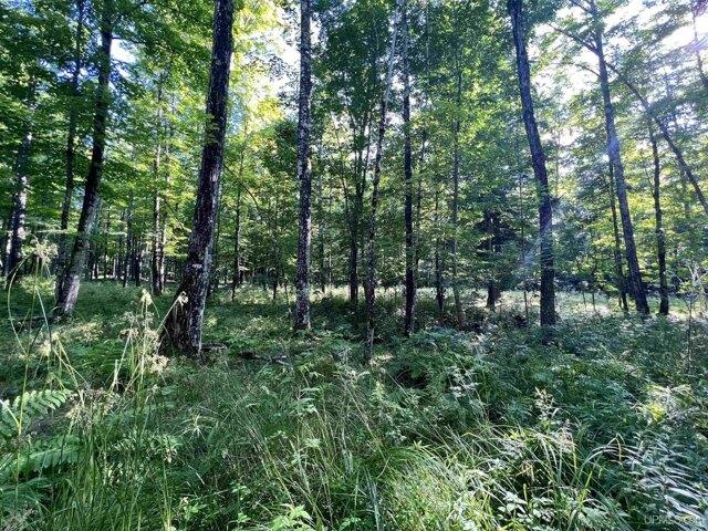 Land for sale in Skanee