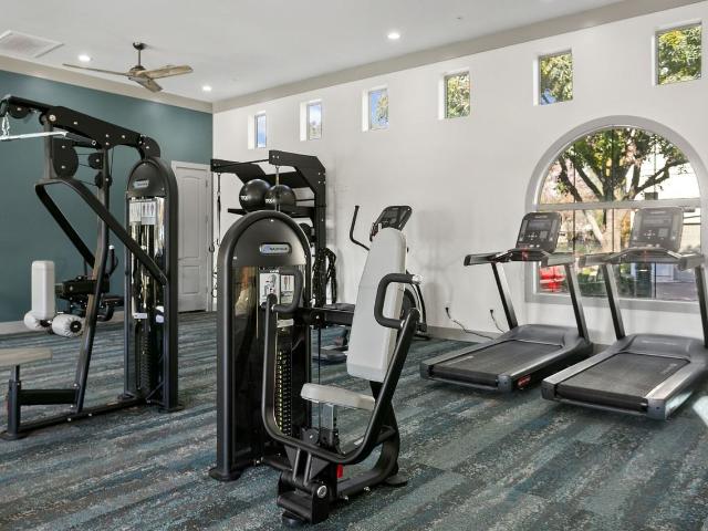 Apartment for rent in Tempe, Arizona