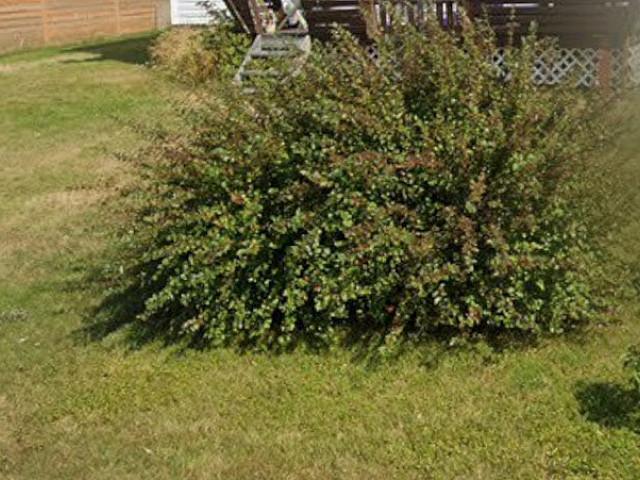 House for sale in Hurkett, Ontario