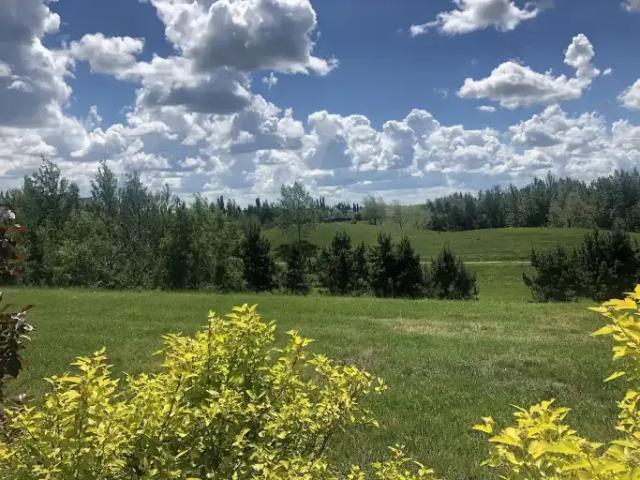 Townhouse for rent in Wedgewood, Alberta